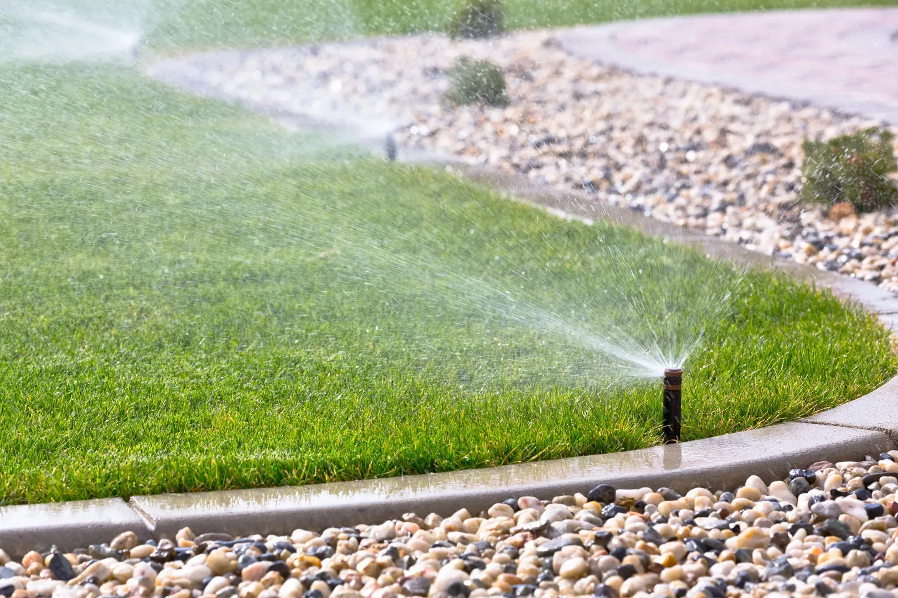 Pop-up sprinkler watering a lawn beside a pebble garden border